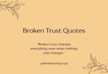 Broken Trust Quotes Broken Trust Quotes